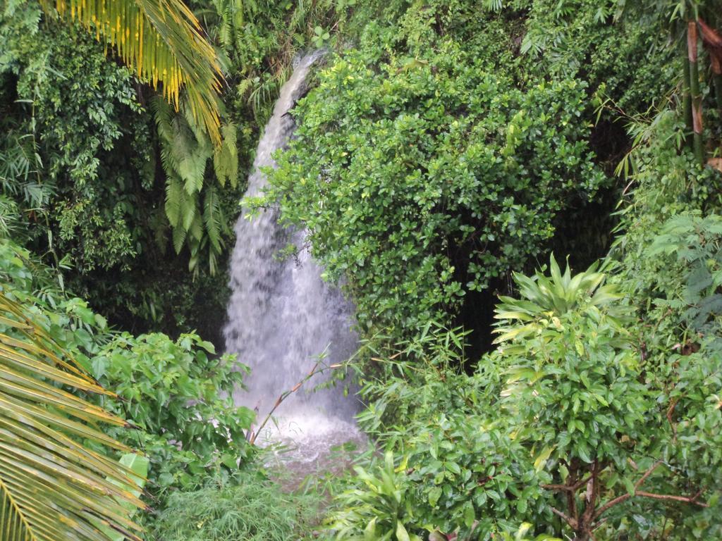 Hotel White Lotus Oasis Ubud Zimmer foto