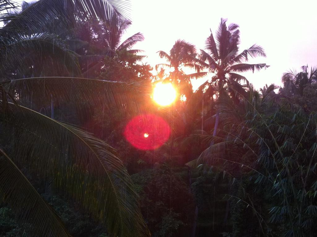 Hotel White Lotus Oasis Ubud Exterior foto